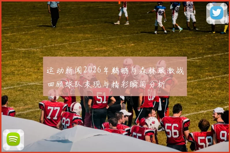 运动新闻2026年鹈鹕与森林狼激战回顾球队表现与精彩瞬间分析